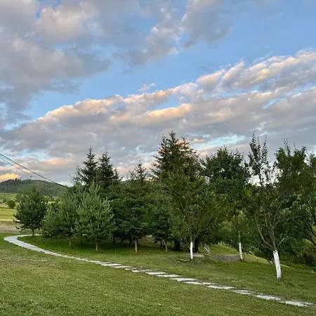 Lodge мамо, я в карпатах Volosyanka (Lviv)
