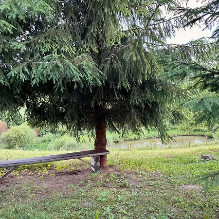мамо, я в карпатах