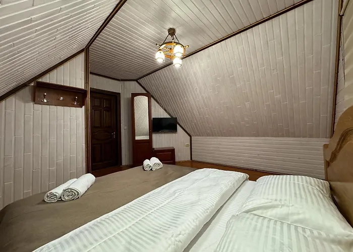 мамо, я в карпатах 山林小屋 沃洛相卡
