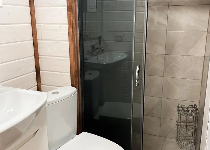 мамо, я в карпатах 山林小屋 *