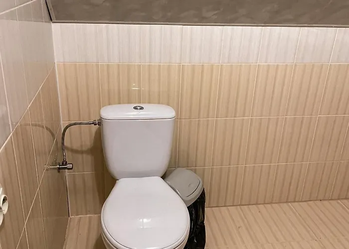Lodge мамо, я в карпатах Volosyanka (Lviv)